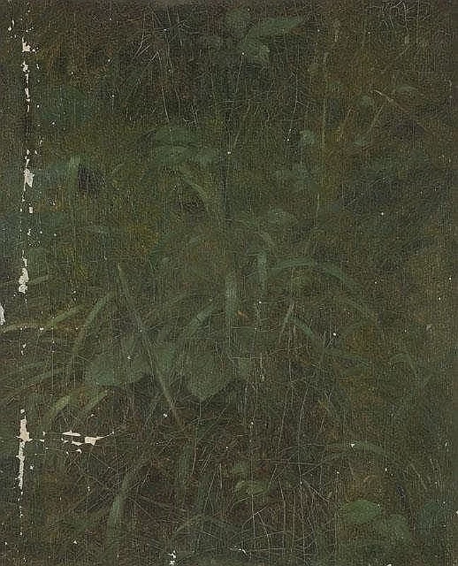 Giunchi sparsi
